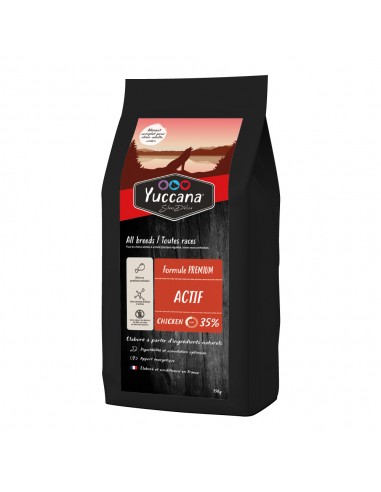 Croquettes Chien YUCCANA Actif -...