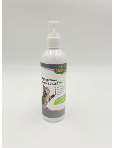 Spray herbe à chat 150mL - Bubimex